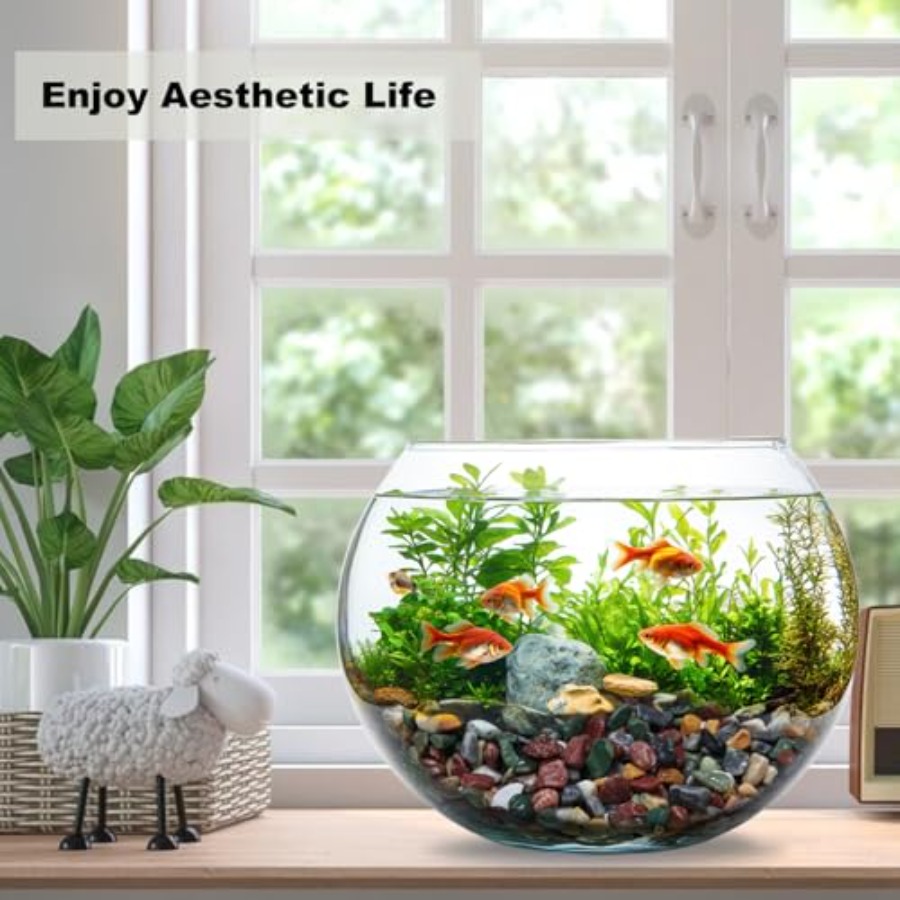 45LB Succulents Rocks for Plan – Planted Aquarium With Gravel Bewertung und Preis