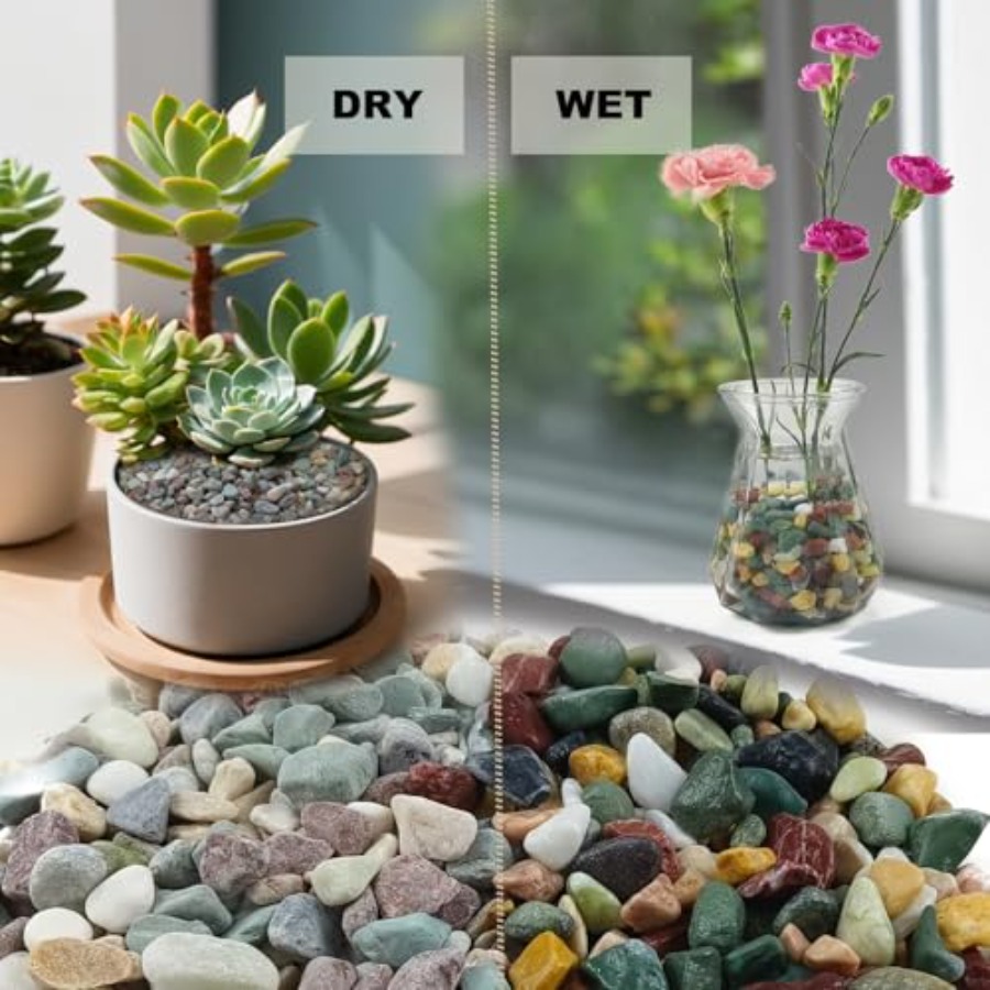 45LB Succulents Rocks for Plan – Planted Aquarium With Gravel Bewertung und Preis