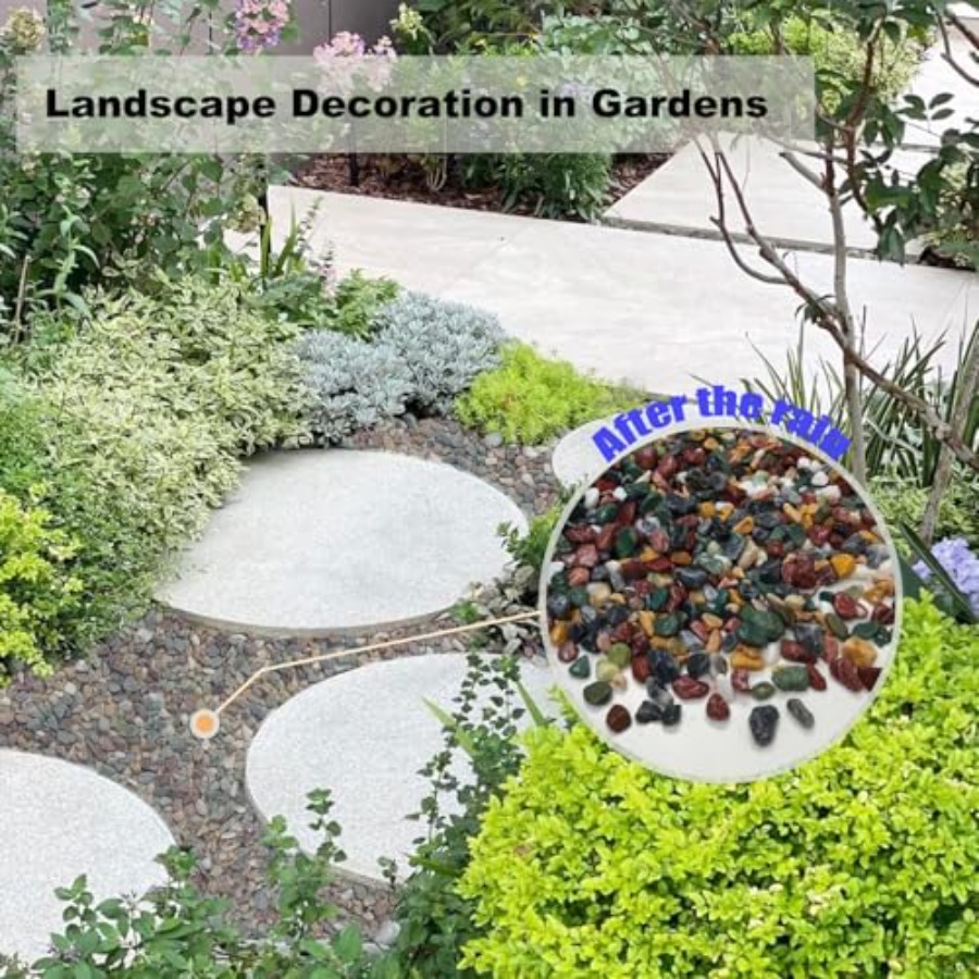 45LB Succulents Rocks for Plan – Planted Aquarium With Gravel Bewertung und Preis
