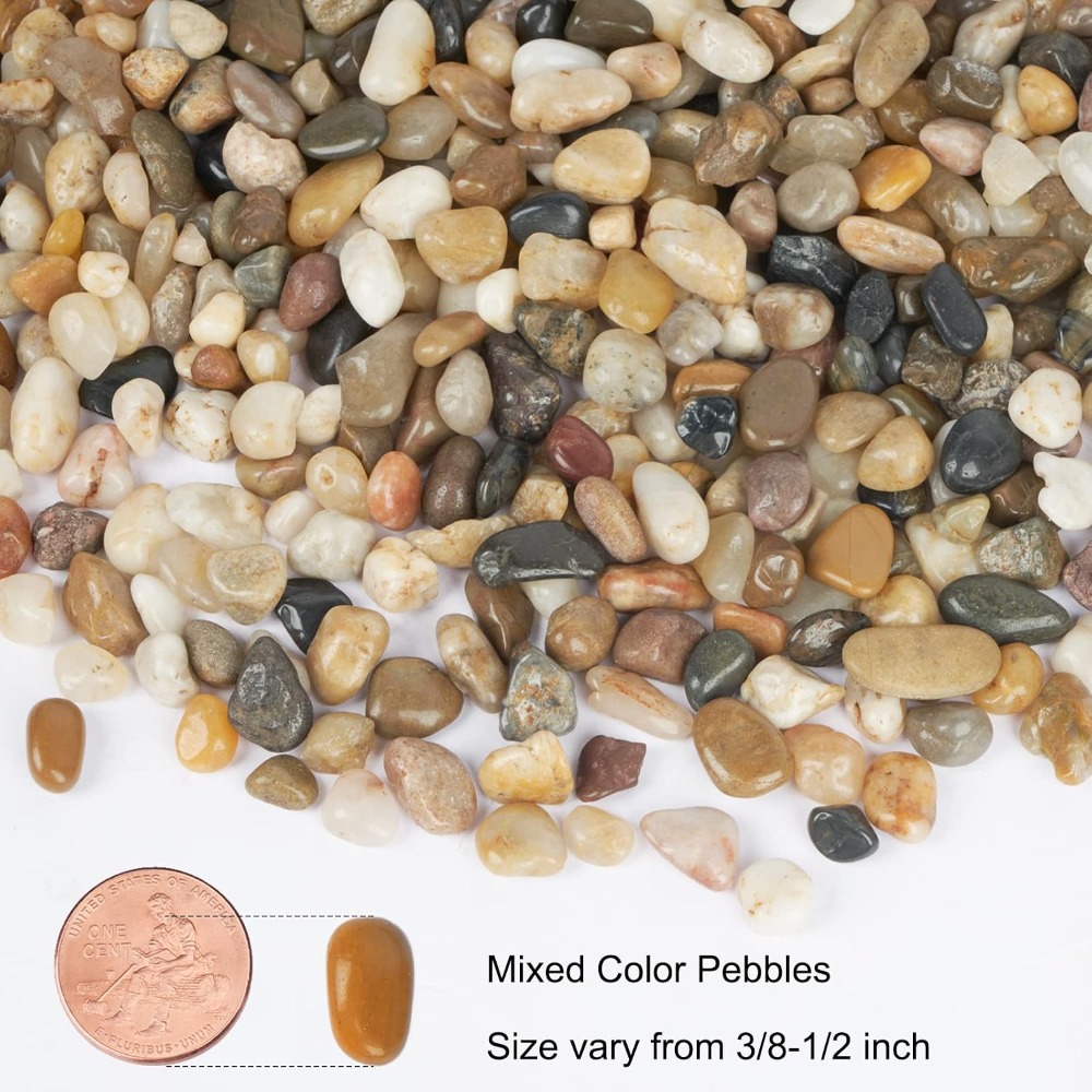 5 lb Decorative Pebbles for Pl – Planted Aquarium With Gravel Bewertung und Preis