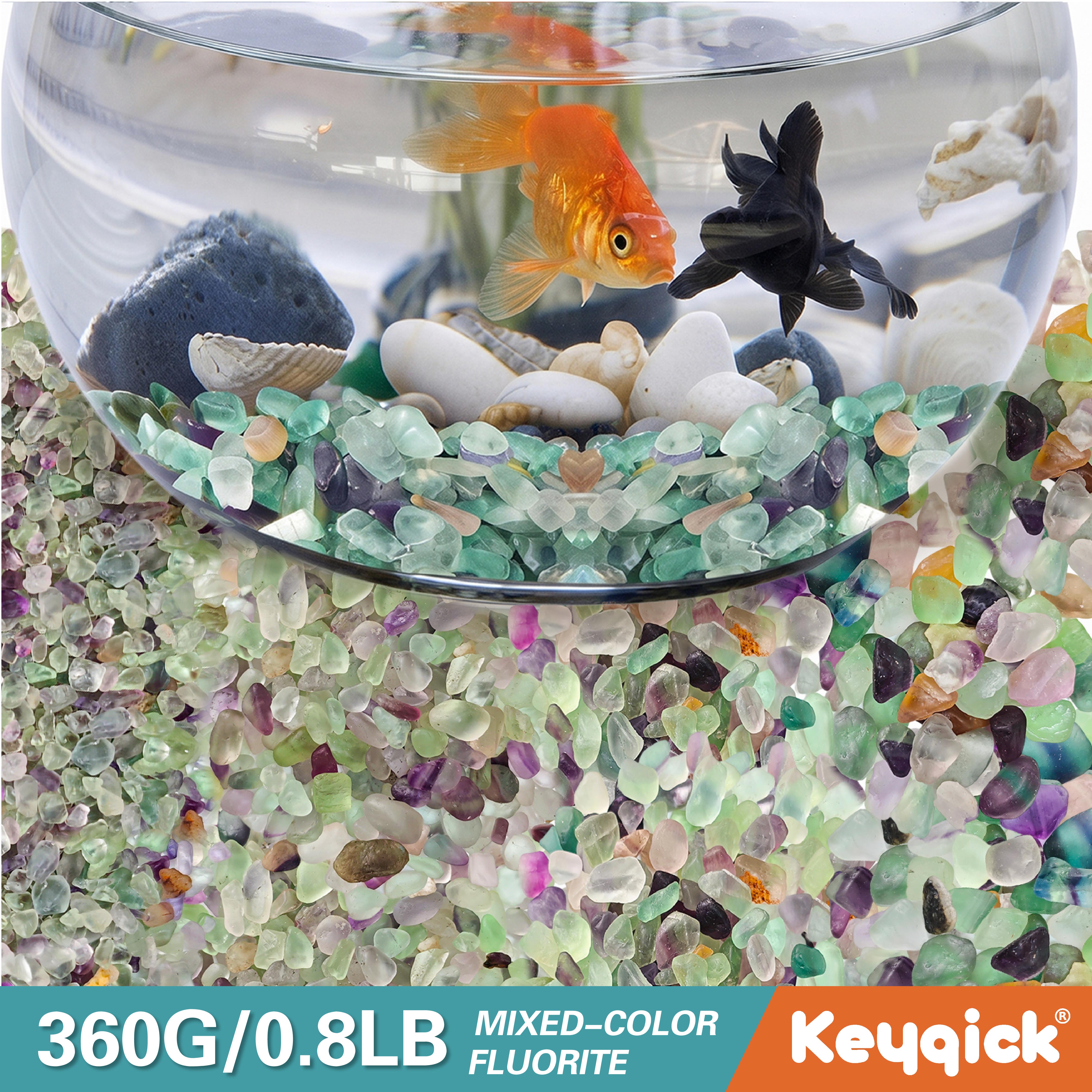 360g Natural Fluorite Fragment – Planted Aquarium With Gravel Bewertung und Preis