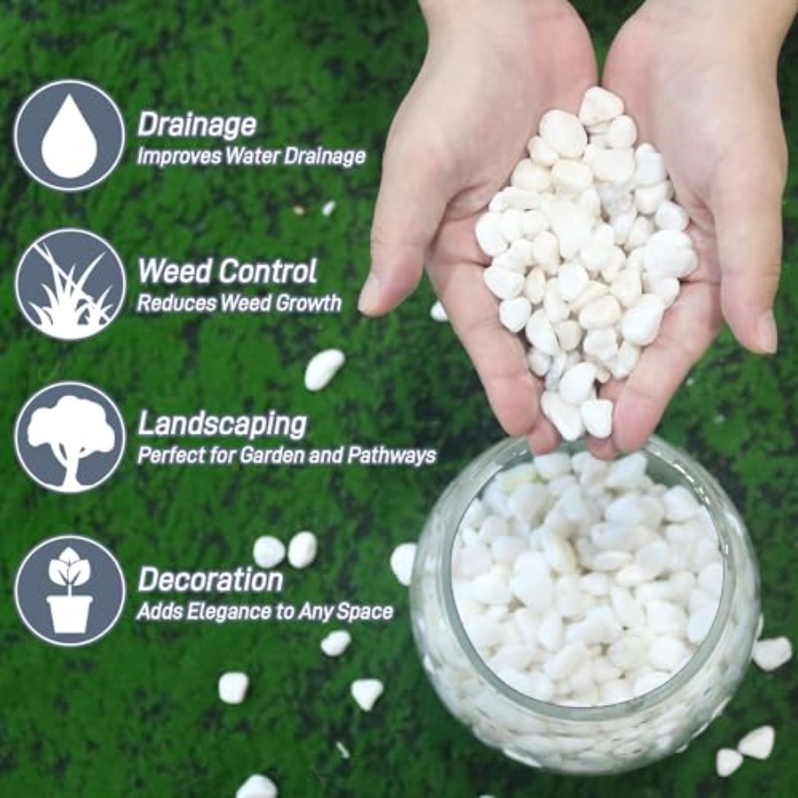 Garden landscaping and aquariu – Planted Aquarium With Gravel Bewertung und Preis