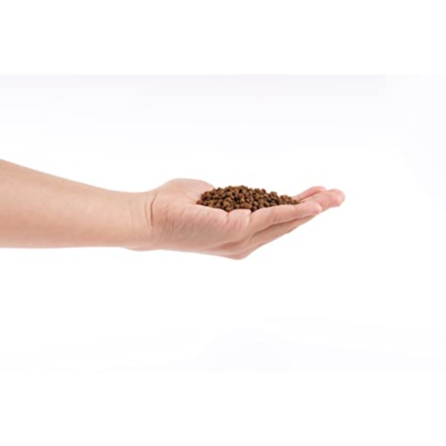 Pebbles for Plants 9lb,Decorat – Aquarium Plant Original Bewertung und Preis