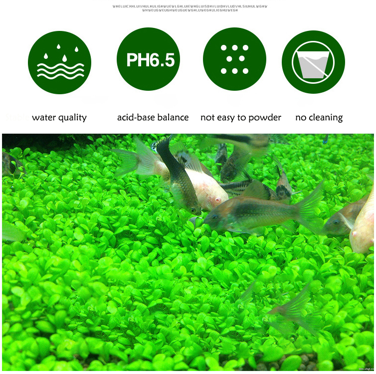 Aquarium Plant Seeds Soil Fish – Aquarium Planted Tank Substrate Bewertung und Preis