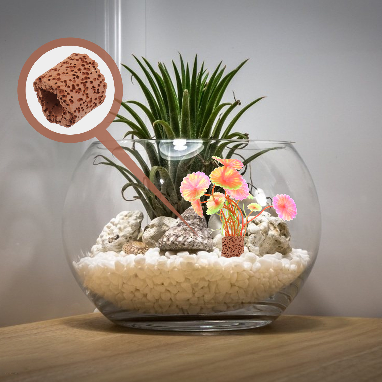 10Pcs Water Plant Fixed Ring S – Aquarium Plant Original Bewertung und Preis