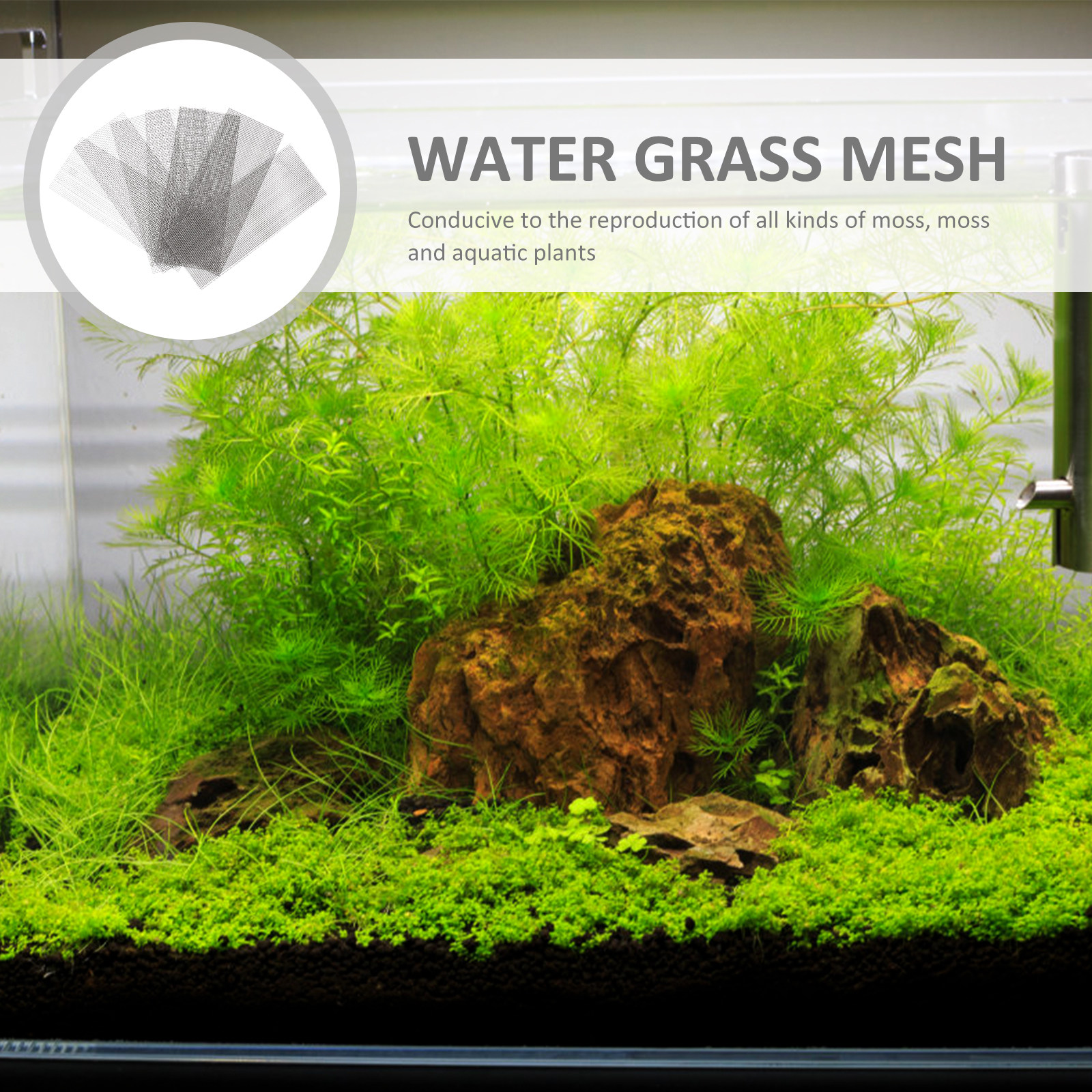 10Pcs Aquarium Plant Fixed Net – Aquarium Plant Grass Bewertung und Preis