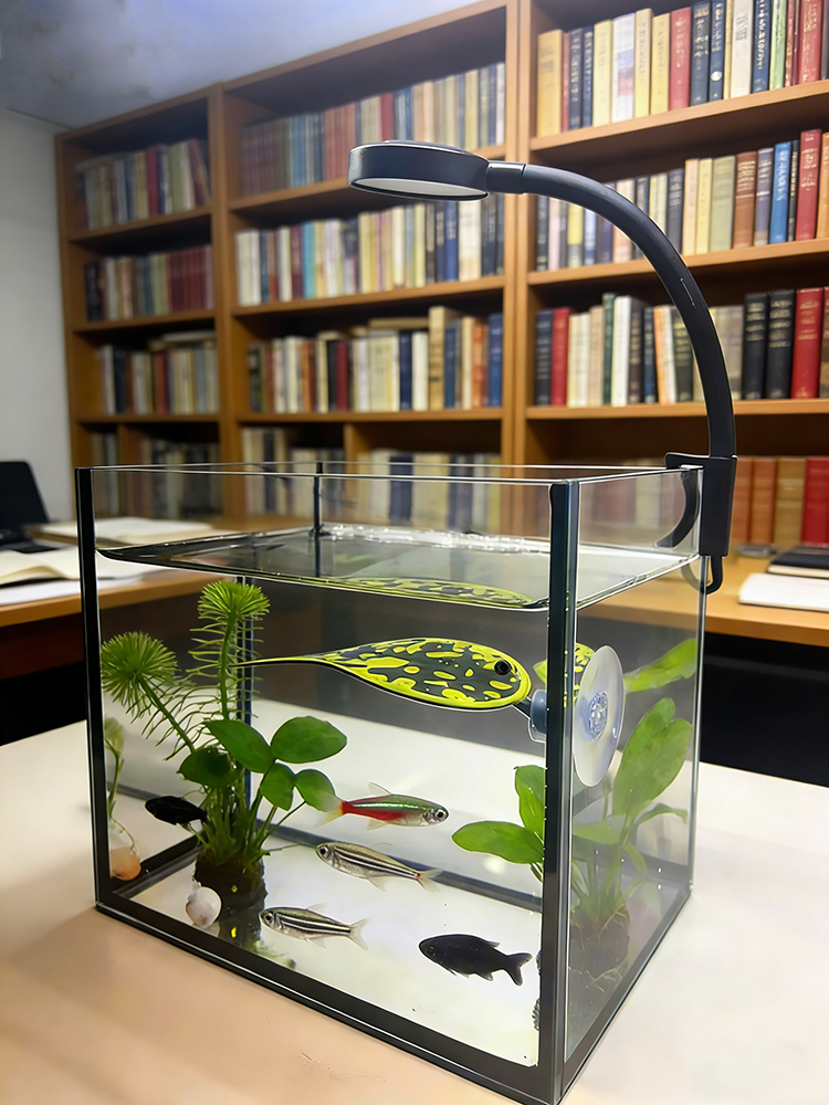 USB LED Fish Tank Clip Lamp Hi – Aquarium Plant Iron Bewertung und Preis