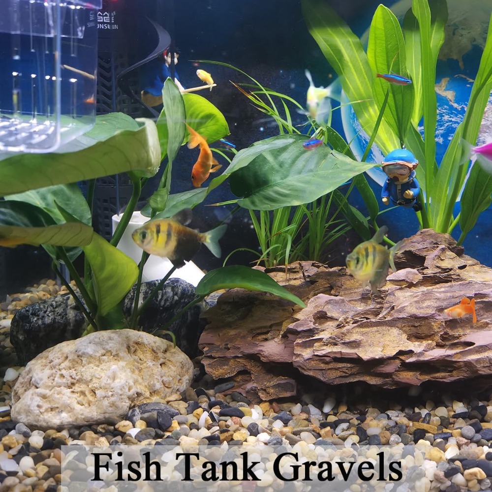 5 lbs Pea Gravel for Fish Tank – Planted Aquarium With Gravel Bewertung und Preis