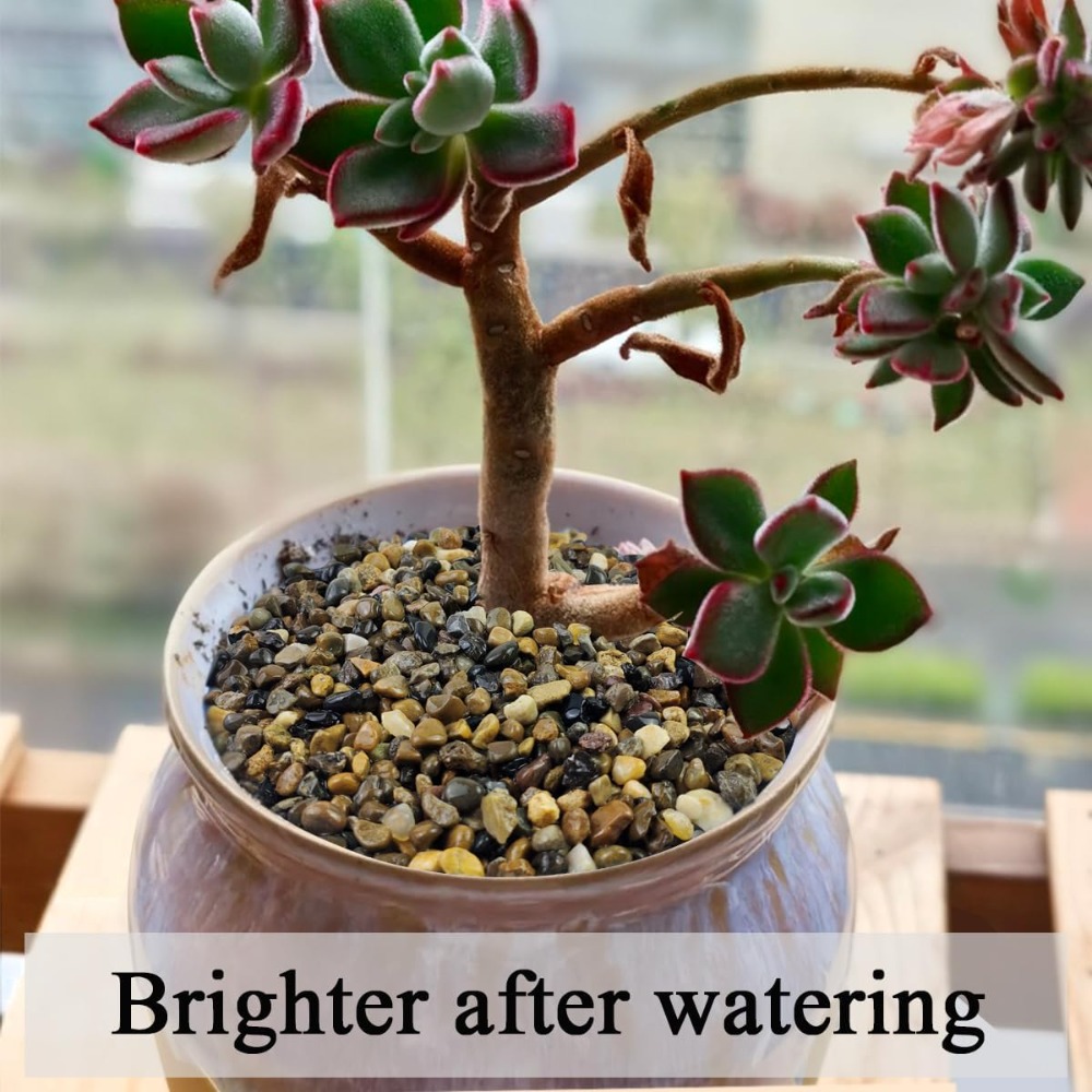 5 lbs Pea Gravel for Fish Tank – Planted Aquarium With Gravel Bewertung und Preis