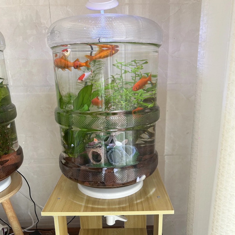Instant Setup Home Fish Tank 3 – Aquarium Planted Setup Bewertung und Preis