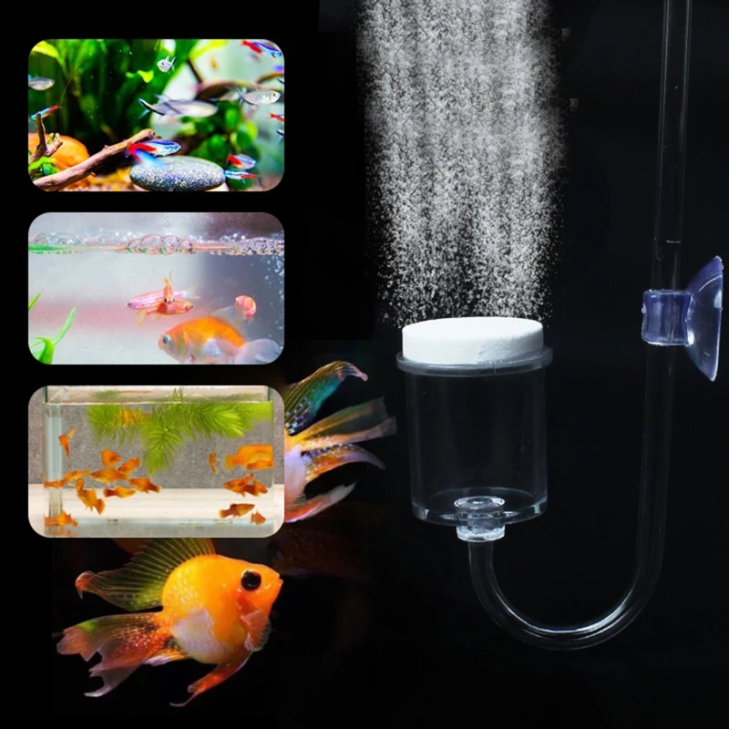 4pcs Set DIY CO2 Diffuser For  – Aquarium Planted Tank Substrate Bewertung und Preis