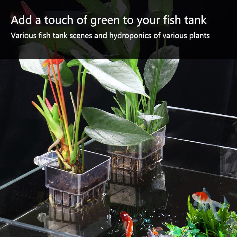 Aquarium Hydroponic Planting C – Aquarium Planted Setup Bewertung und Preis
