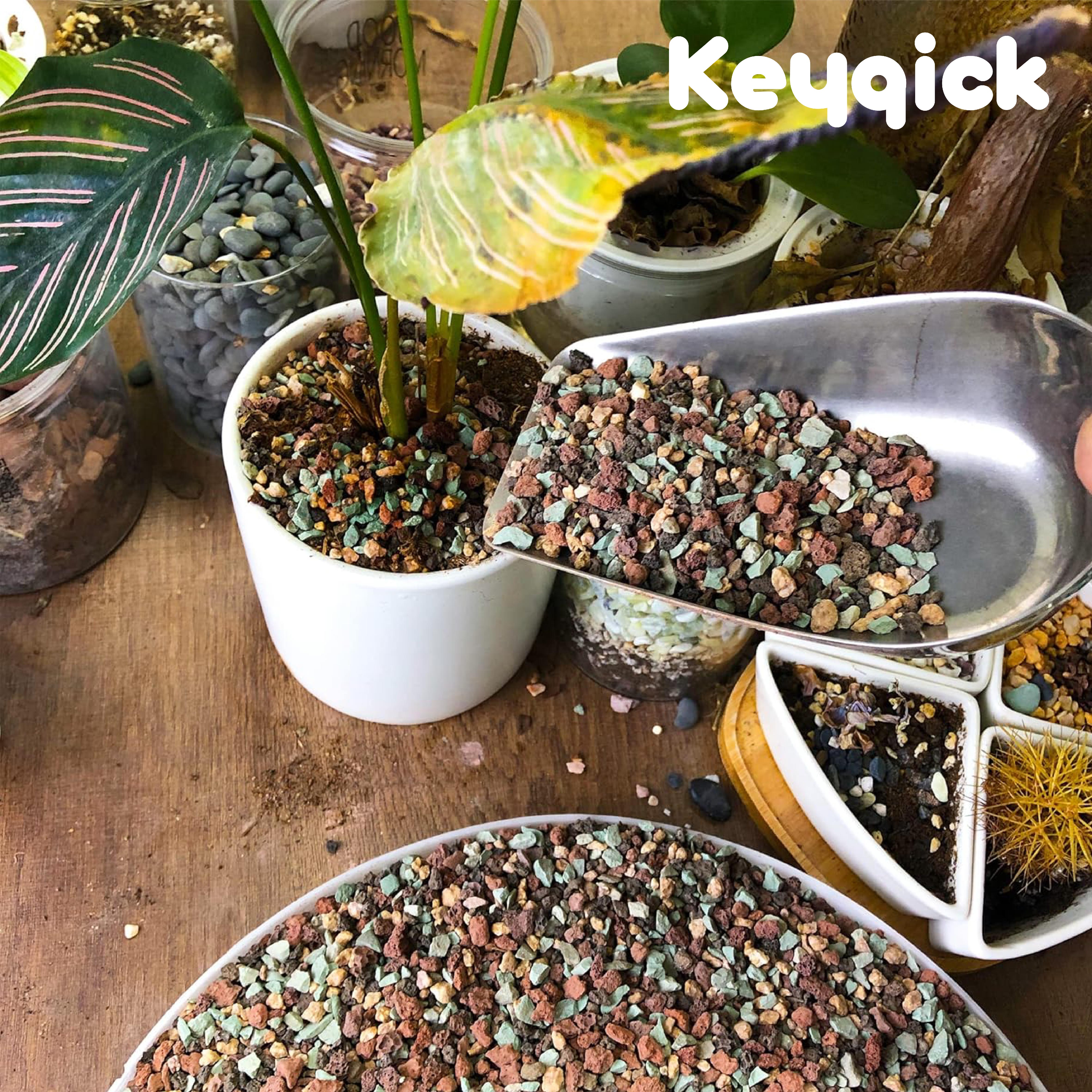 1lbs Natural Color Mixed Grave – Planted Aquarium With Gravel Bewertung und Preis