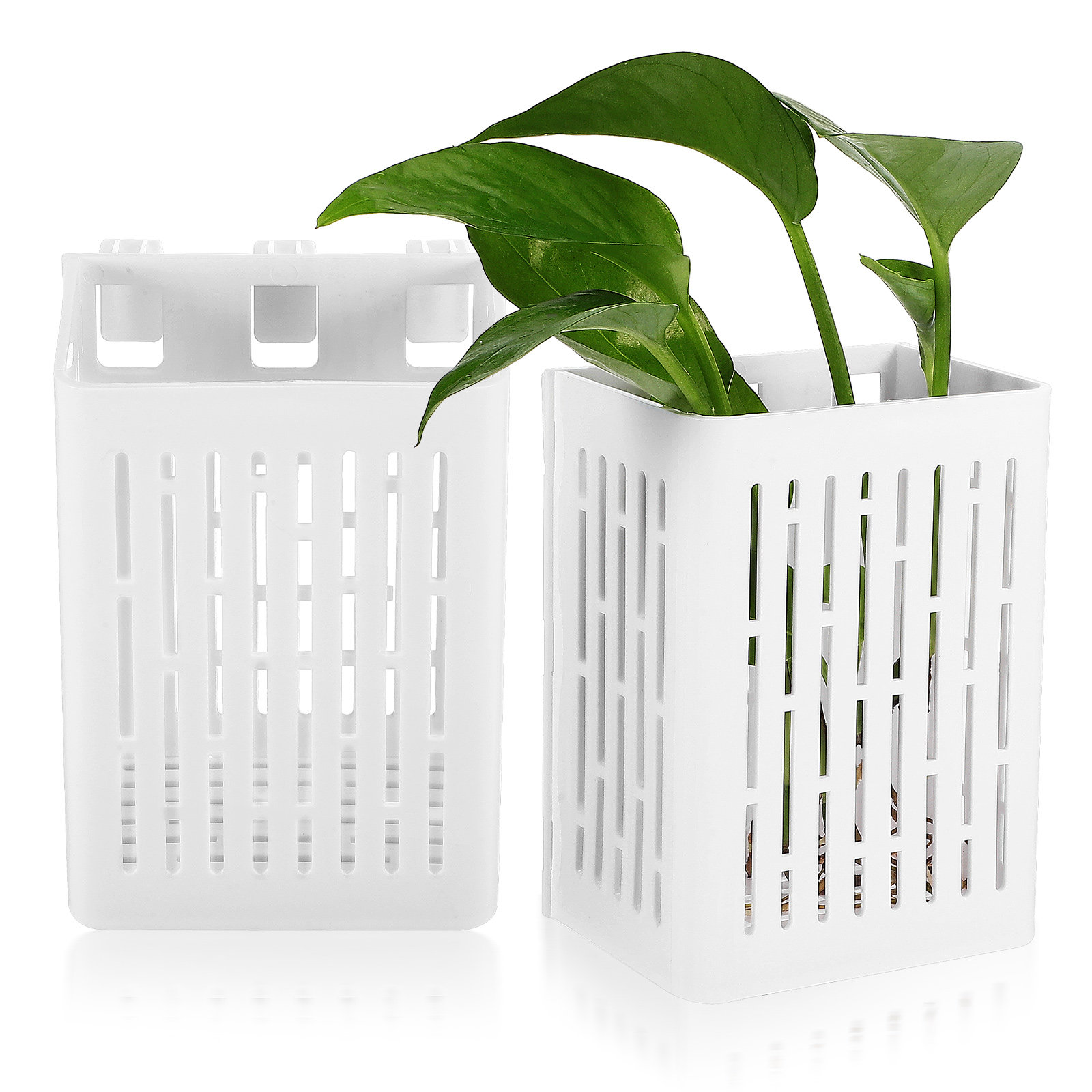 2Pcs Hanging Aquarium Planter  – Aquarium Planted Setup Bewertung und Preis