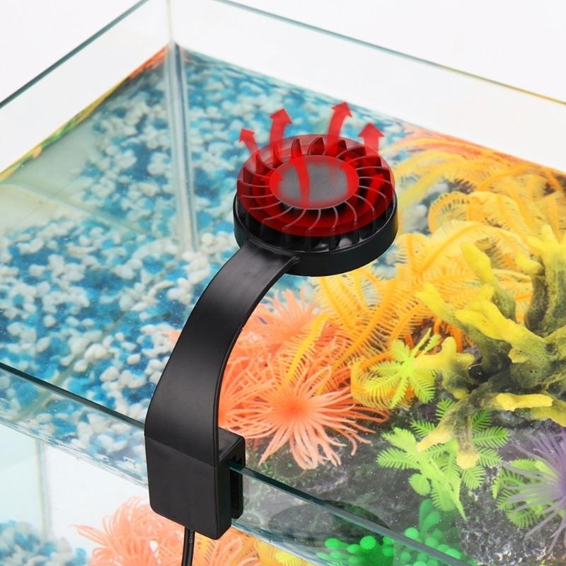 0XLD Small Aquarium Fish Led U – Aquarium Plant Grass Bewertung und Preis