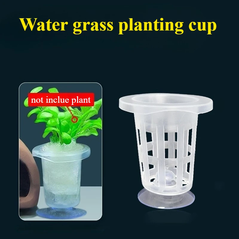50pcs/10pcs Aquarium Planting  – Aquarium Plant Grass Bewertung und Preis