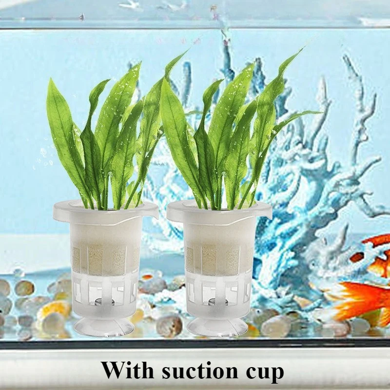 50pcs/10pcs Aquarium Planting  – Aquarium Plant Grass Bewertung und Preis